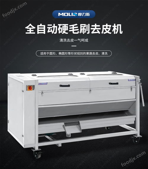生姜果蔬清洗加工毛輥清洗去皮機 去皮設(shè)備
